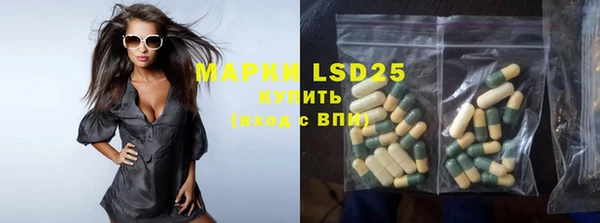 spice Аркадак