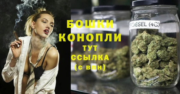 прущий лед Арсеньев