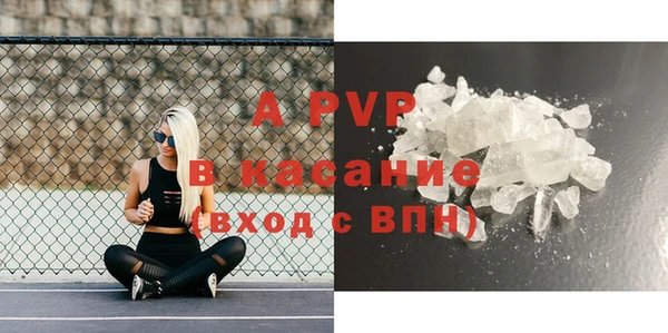 spice Аркадак