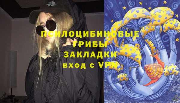 тгк Армянск