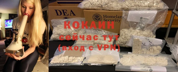 spice Аркадак