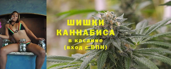 spice Аркадак